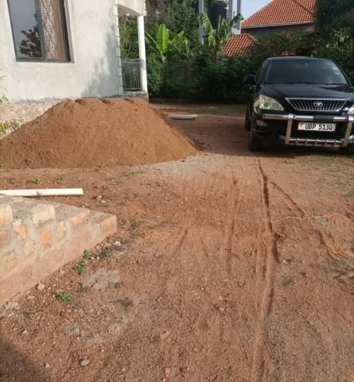 WhatsApp Image 2025-02-18 at 9.33.56 AM